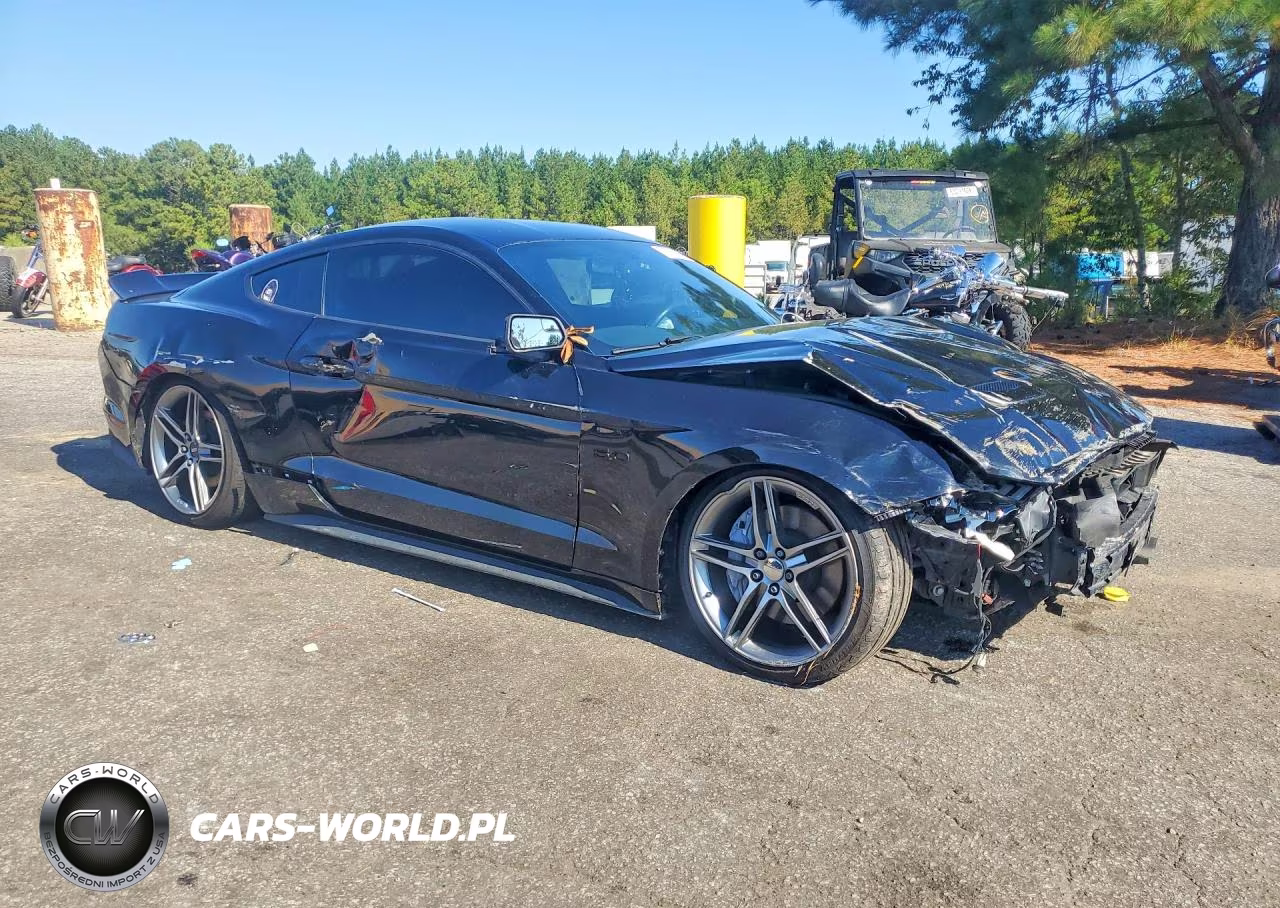 2019 Ford Mustang Gt VIN:1FA6P8CF8K5132357 - 4