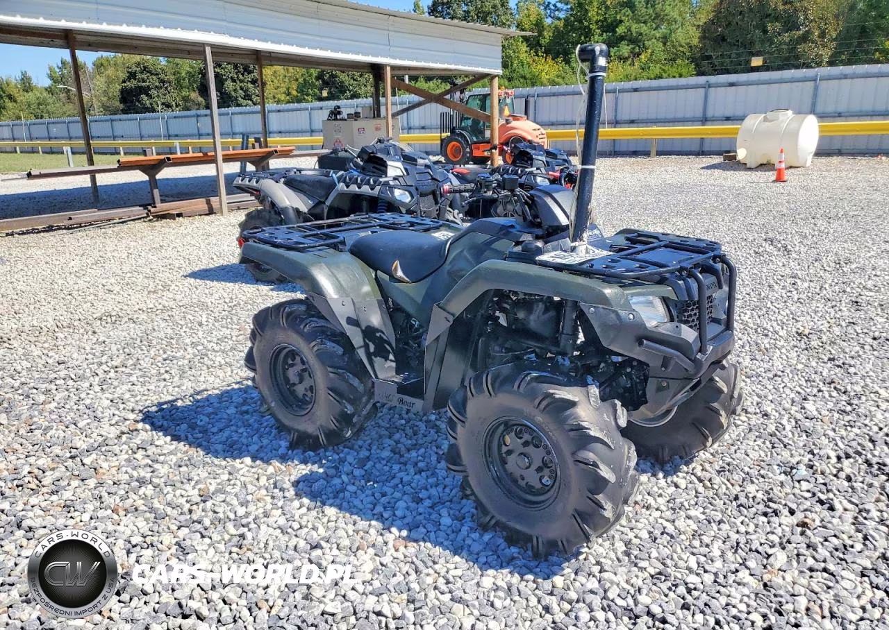 2025 Honda Trx420 Fm VIN:1HFTE4018SJ100686 - 1