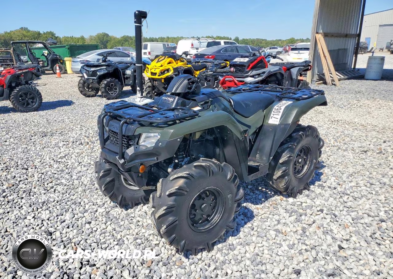 2025 Honda Trx420 Fm VIN:1HFTE4018SJ100686 - 2