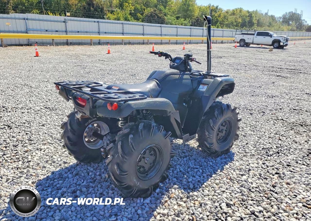 2025 Honda Trx420 Fm VIN:1HFTE4018SJ100686 - 4