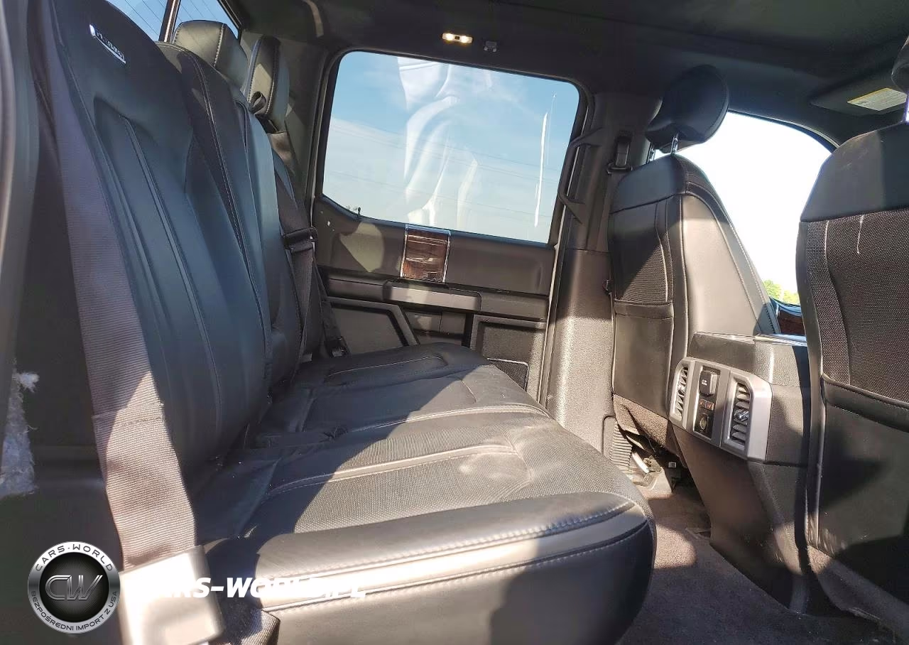2016 Ford F-150 Platinum VIN:1FTEW1EG6GFB95822 - 10
