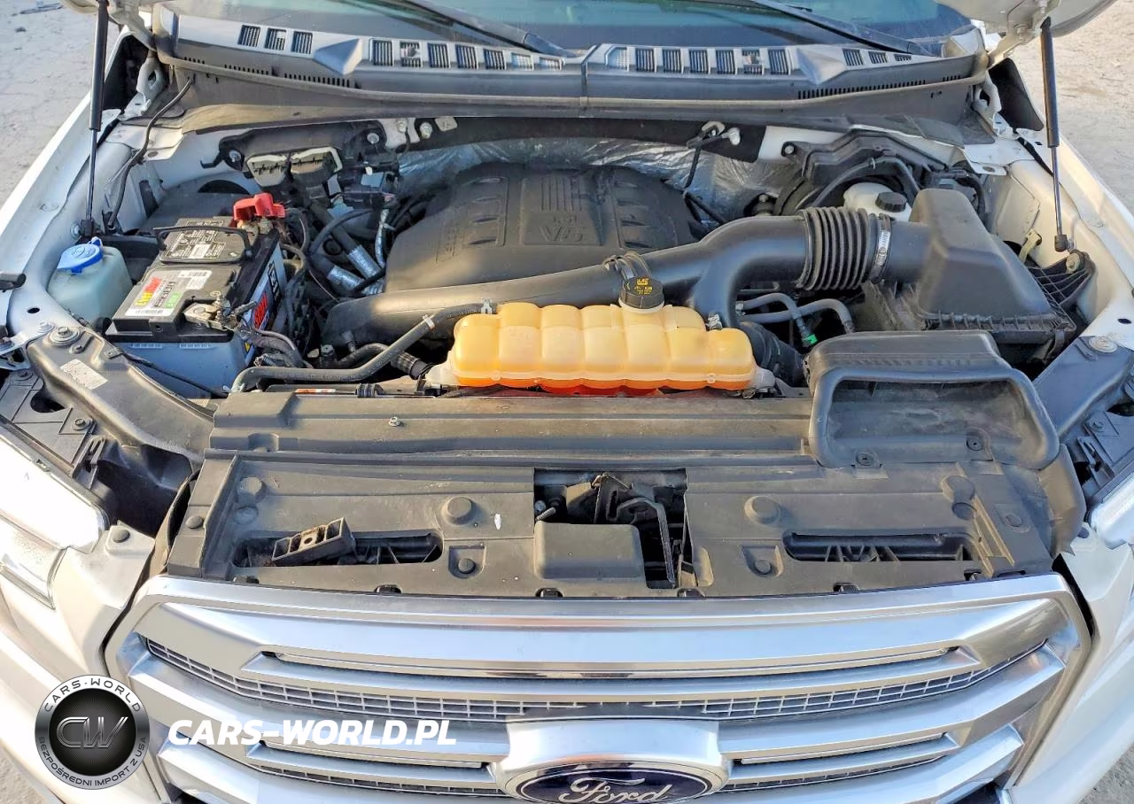 2016 Ford F-150 Platinum VIN:1FTEW1EG6GFB95822 - 11