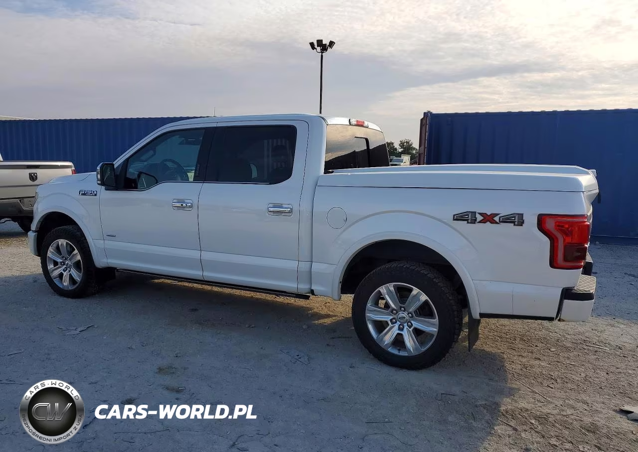 2016 Ford F-150 Platinum VIN:1FTEW1EG6GFB95822 - 2