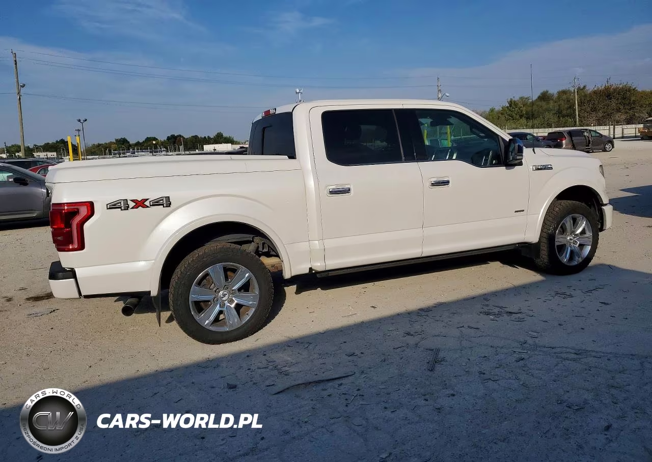 2016 Ford F-150 Platinum VIN:1FTEW1EG6GFB95822 - 3