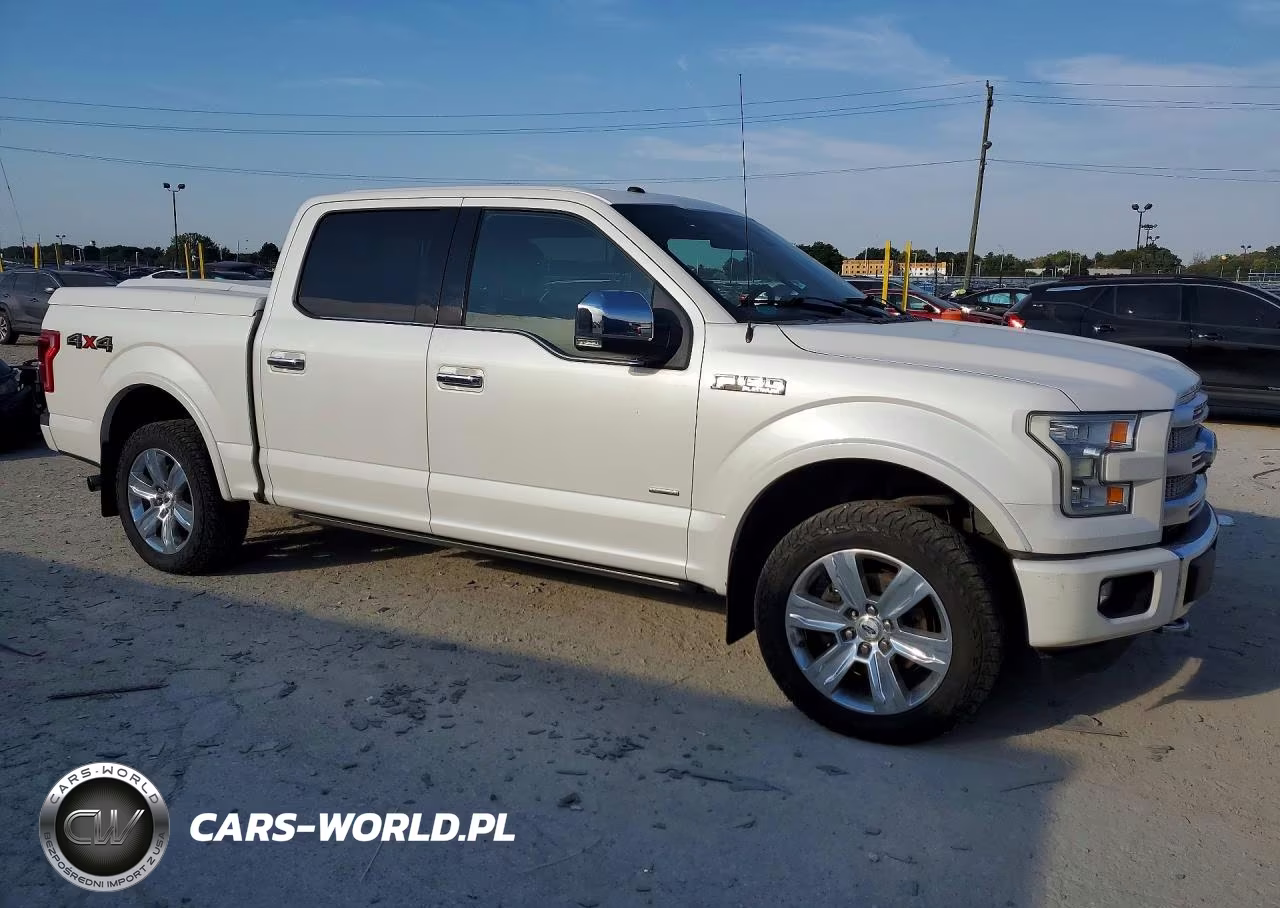 2016 Ford F-150 Platinum VIN:1FTEW1EG6GFB95822 - 4