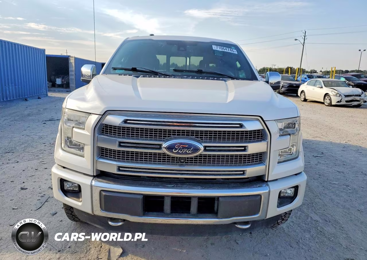 2016 Ford F-150 Platinum VIN:1FTEW1EG6GFB95822 - 5