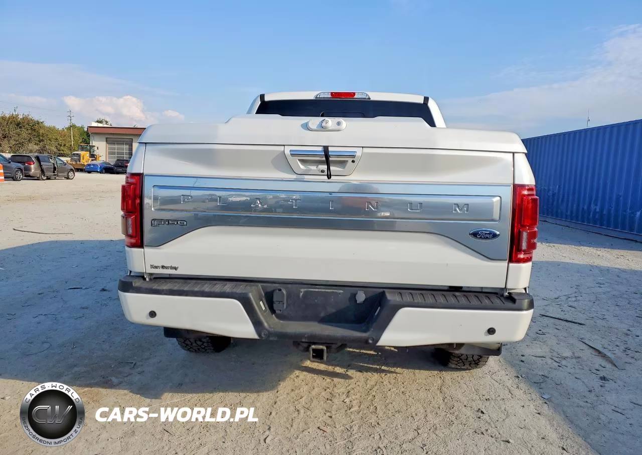 2016 Ford F-150 Platinum VIN:1FTEW1EG6GFB95822 - 6