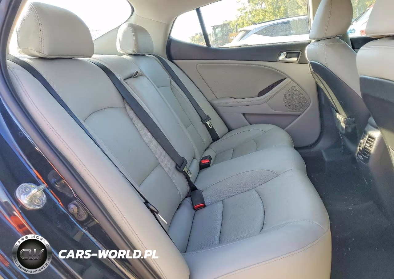 2015 Kia Optima Ex VIN:5XXGN4A7XFG494944 - 10