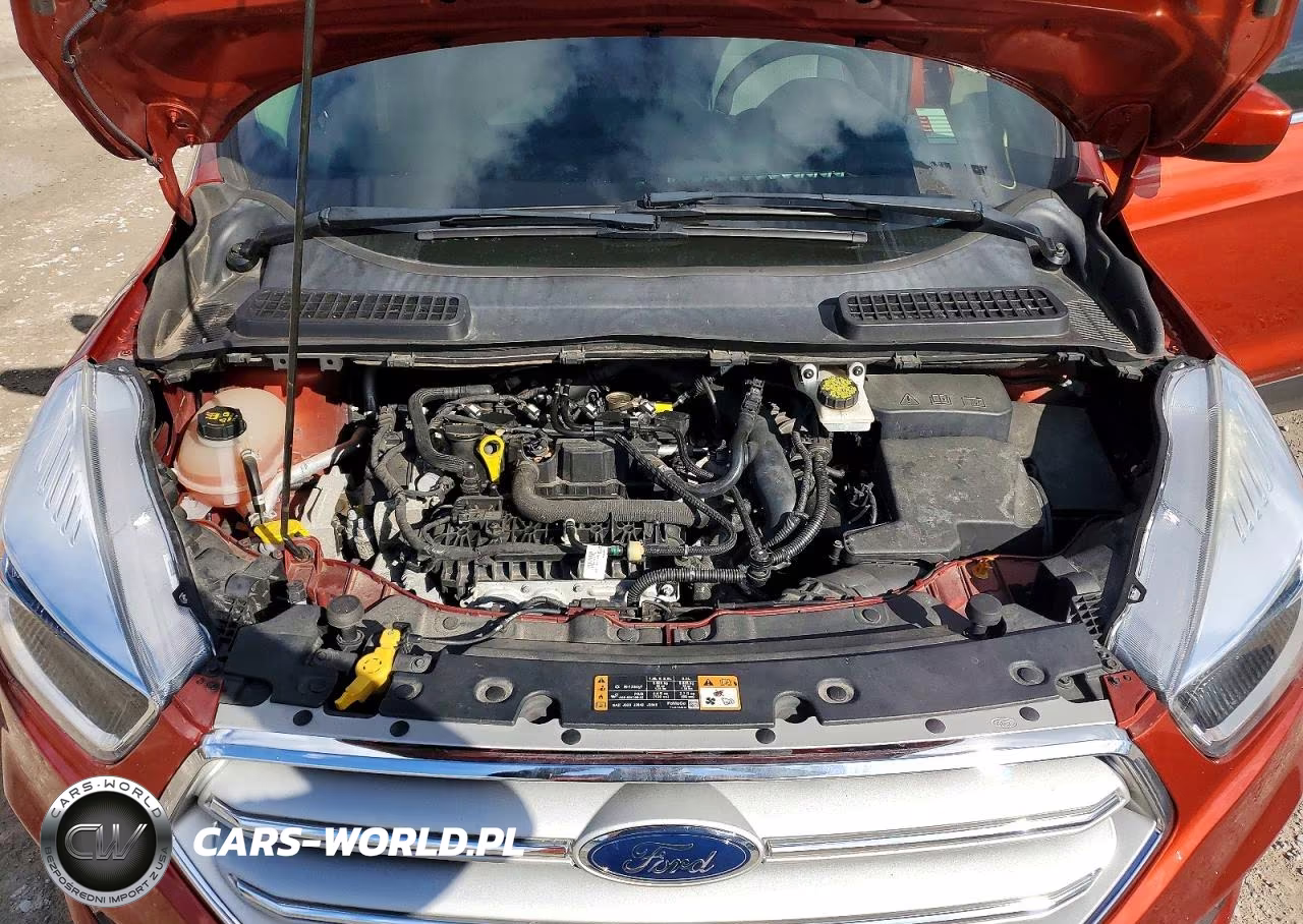 2019 Ford Escape Se VIN:1FMCU9GD0KUA61578 - 12