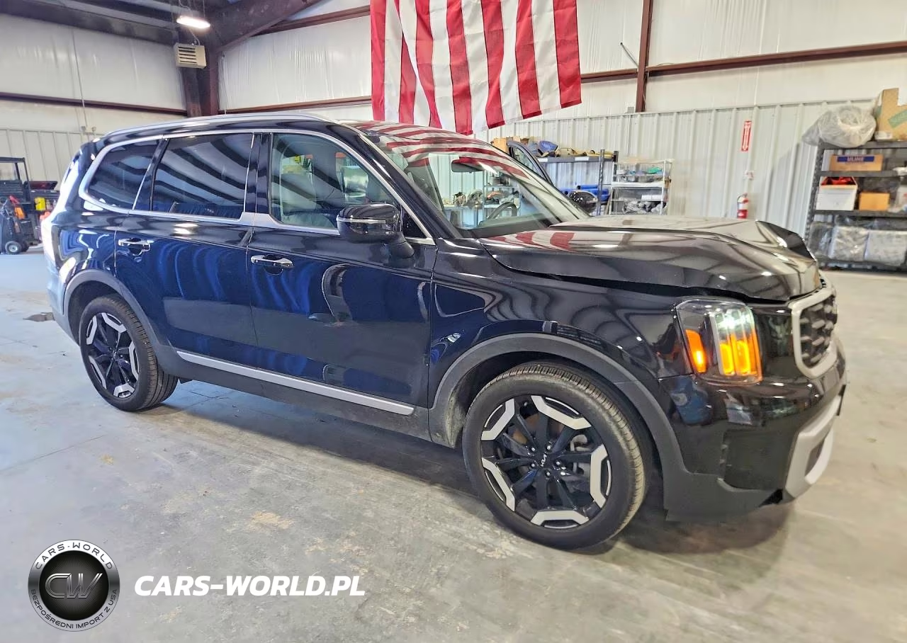 2025 Kia Telluride S VIN:5XYP6DGC3SG653178 - 4