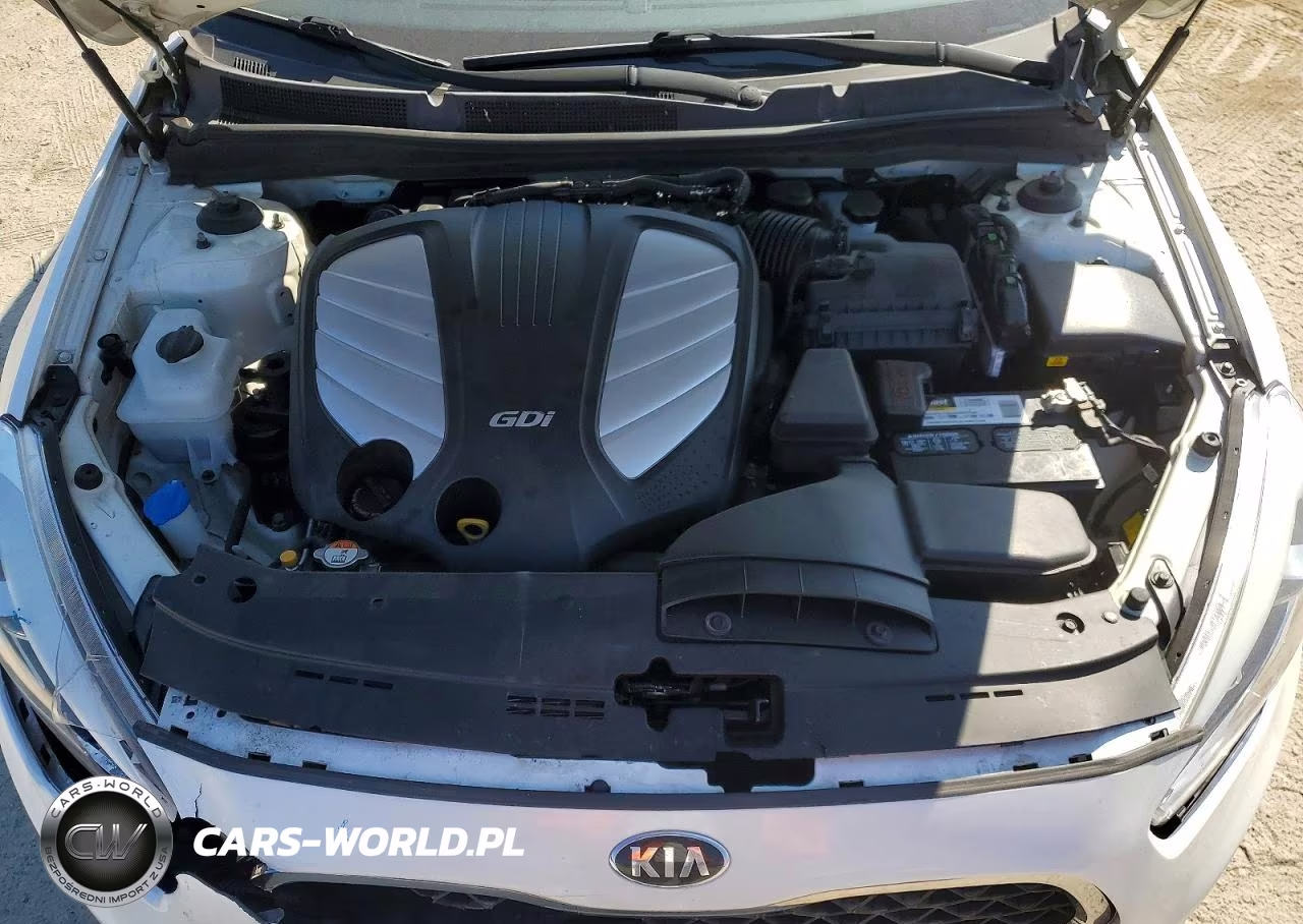 2016 Kia Cadenza Luxury VIN:KNALN4D77G5207928 - 11