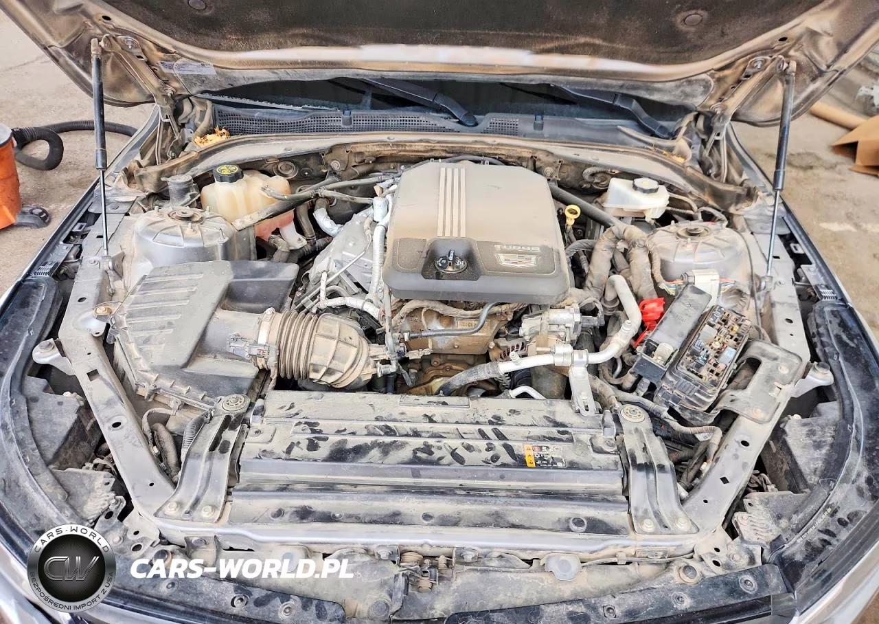 2020 Cadillac Ct4 Sport VIN:1G6DC5RK4L0154678 - 11