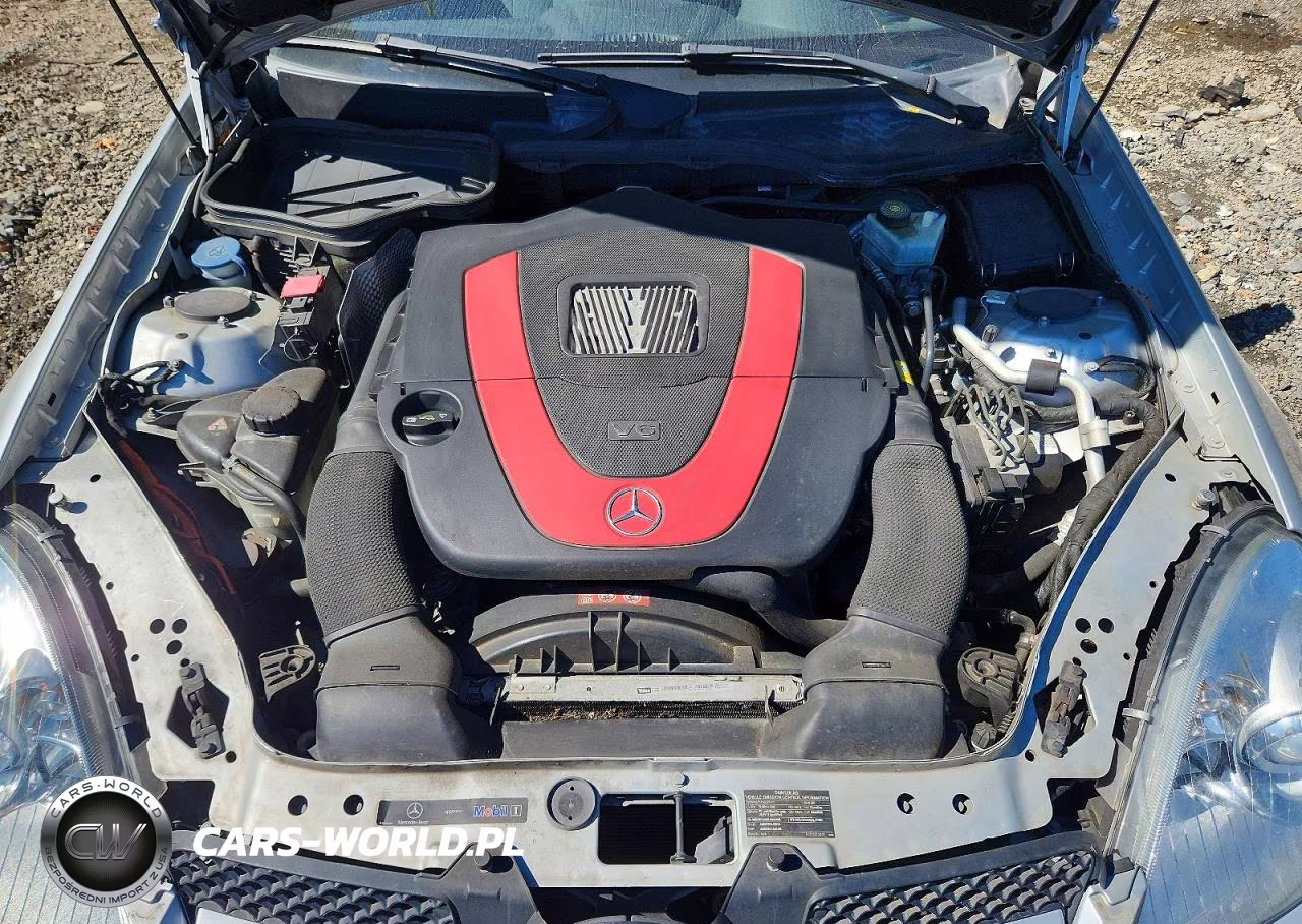 2010 Mercedes-Benz Slk 350 VIN:WDBWK5JA1AF230989 - 11