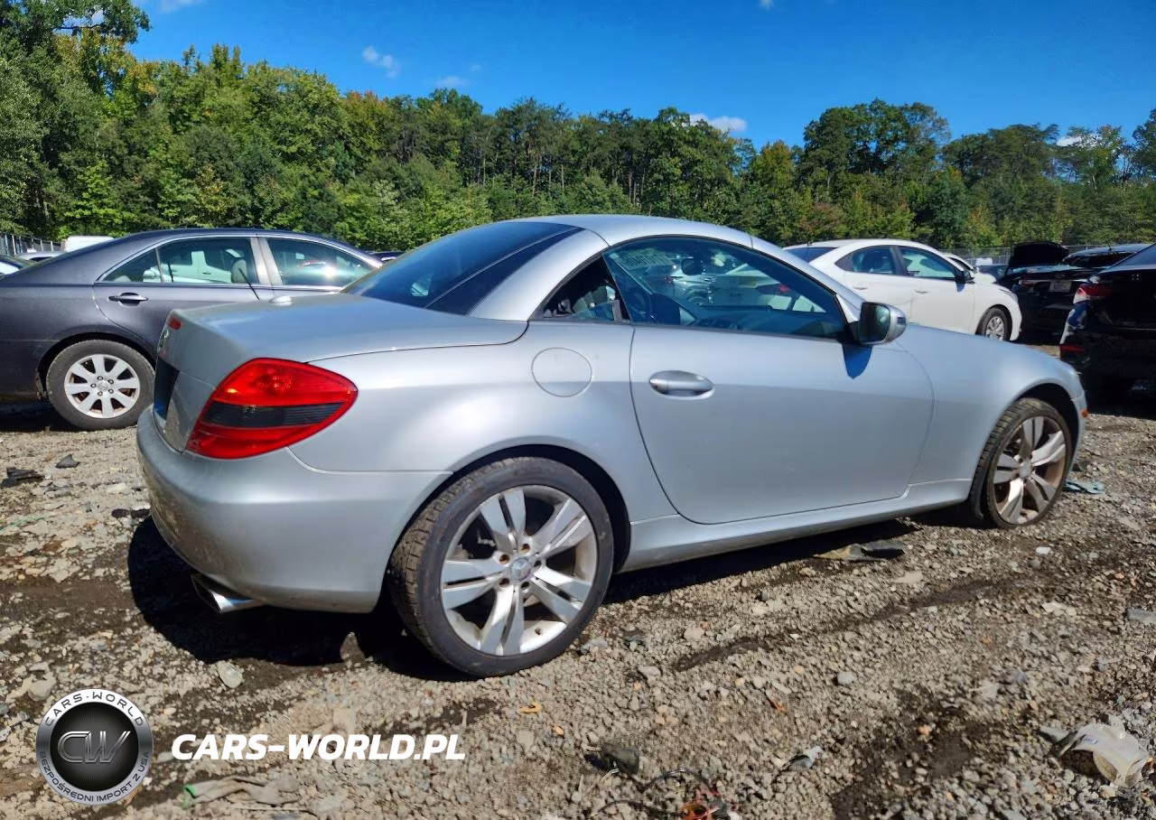 2010 Mercedes-Benz Slk 350 VIN:WDBWK5JA1AF230989 - 3