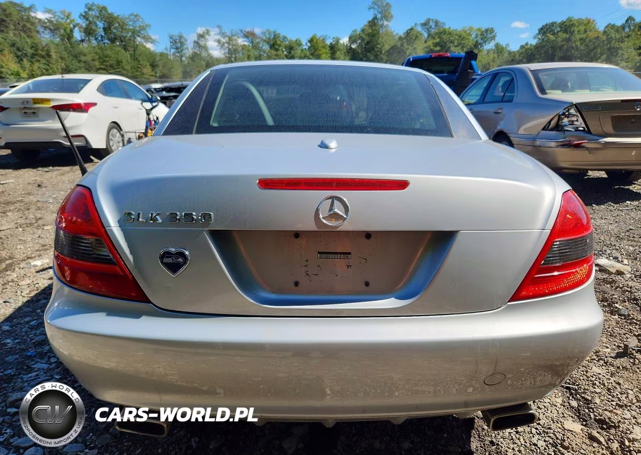 2010 Mercedes-Benz Slk 350 VIN:WDBWK5JA1AF230989 - 6