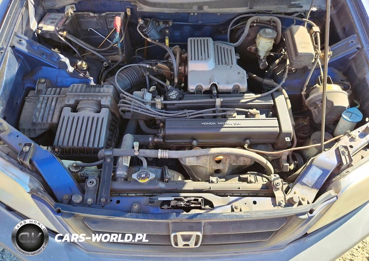 1999 Honda Cr-V Lx VIN:JHLRD284XXC013543 - 11