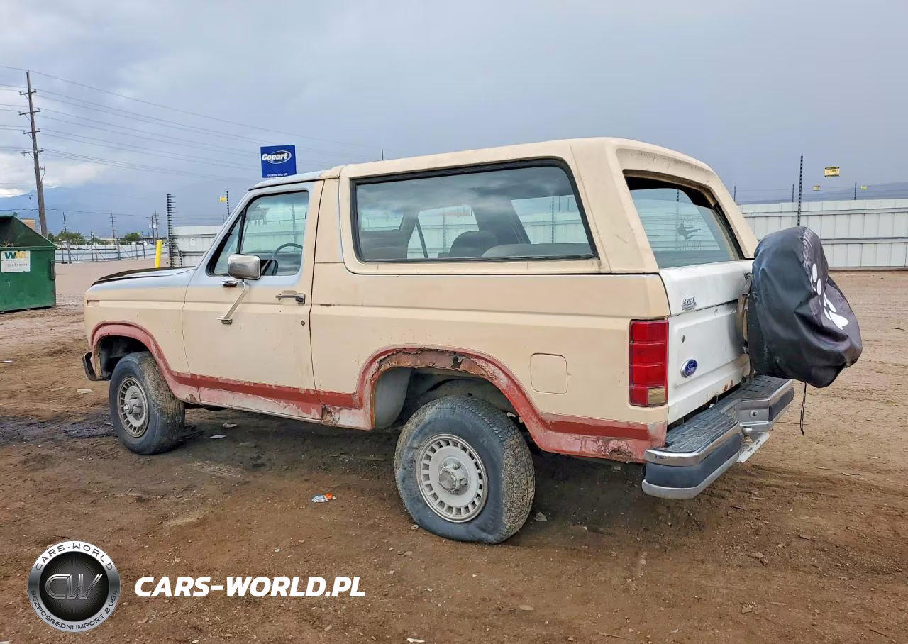 1985 Ford Bronco U100 VIN:1FMDU15N7FLA91240 - 2