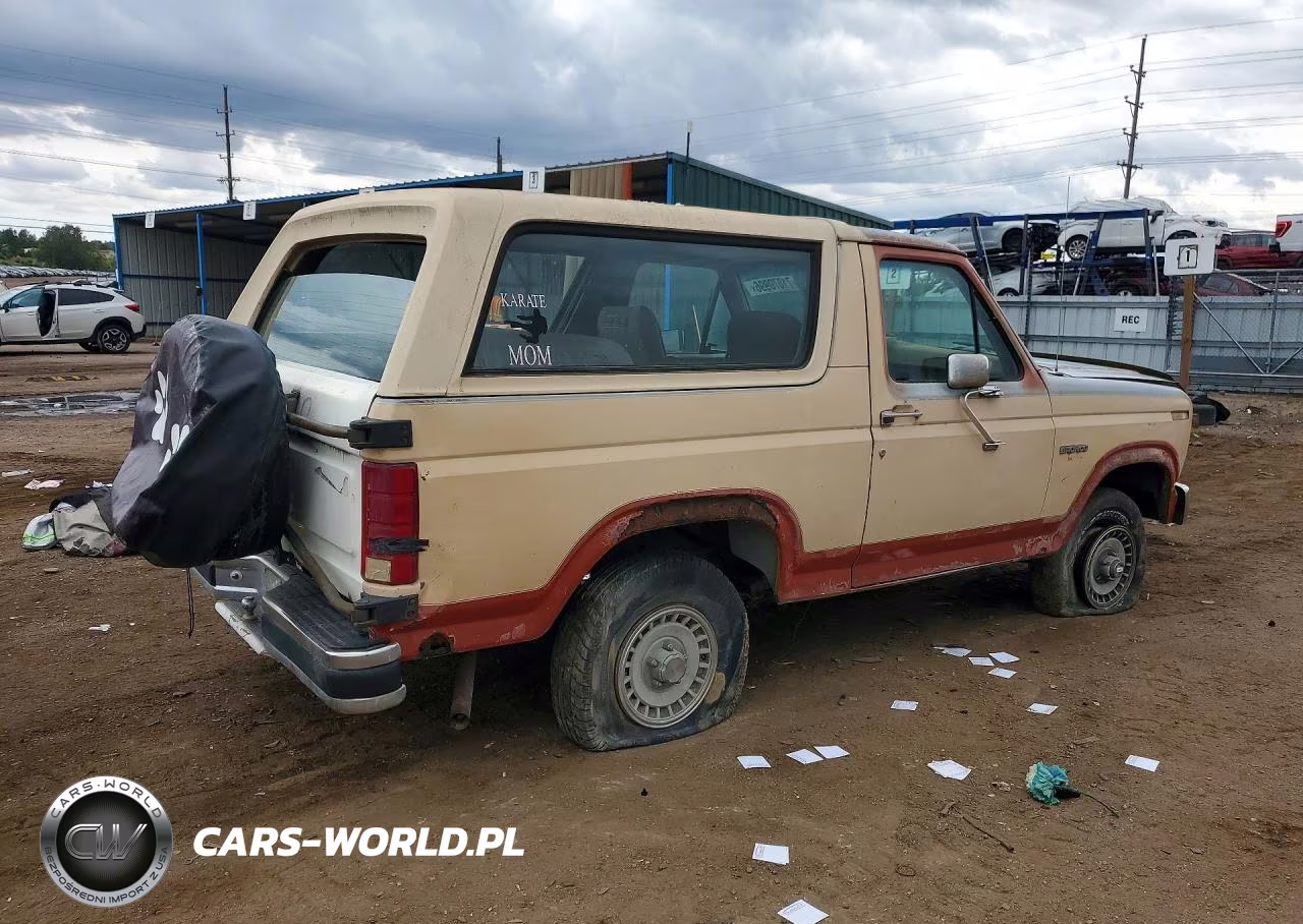 1985 Ford Bronco U100 VIN:1FMDU15N7FLA91240 - 3