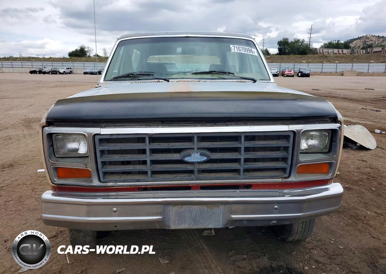 1985 Ford Bronco U100 VIN:1FMDU15N7FLA91240 - 5