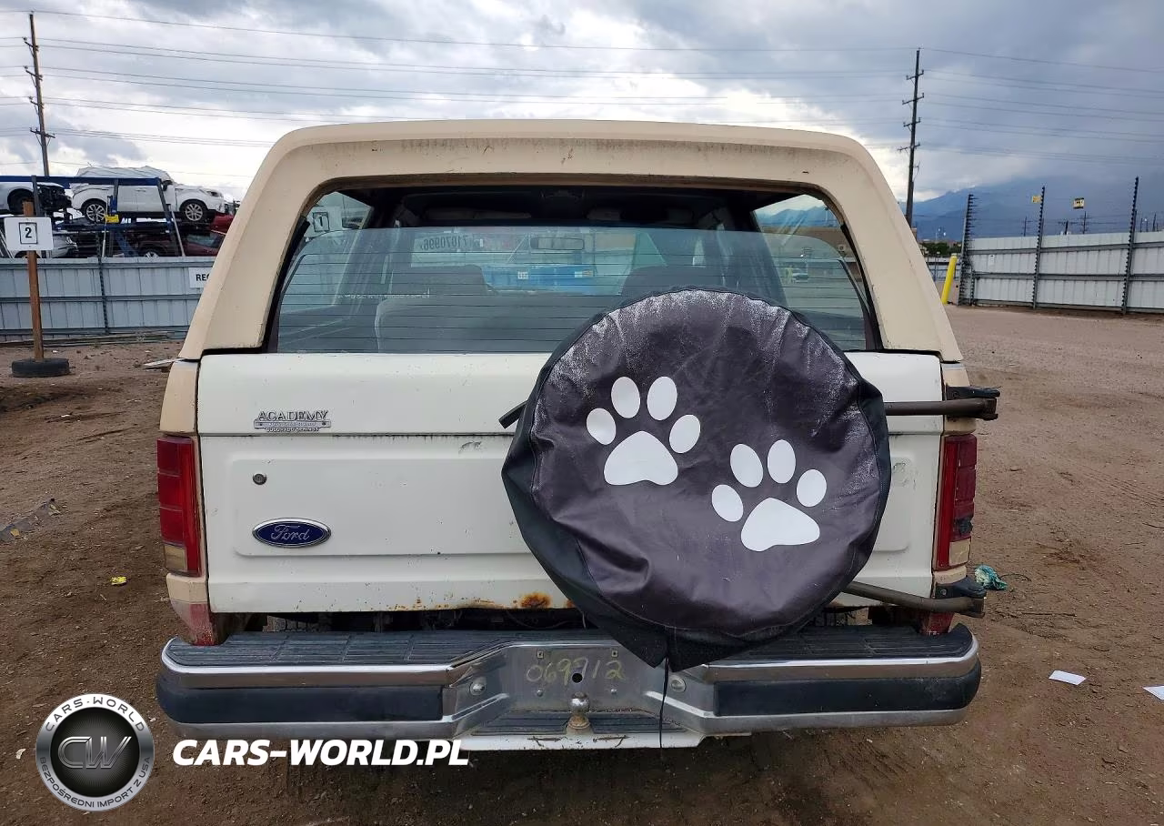 1985 Ford Bronco U100 VIN:1FMDU15N7FLA91240 - 6
