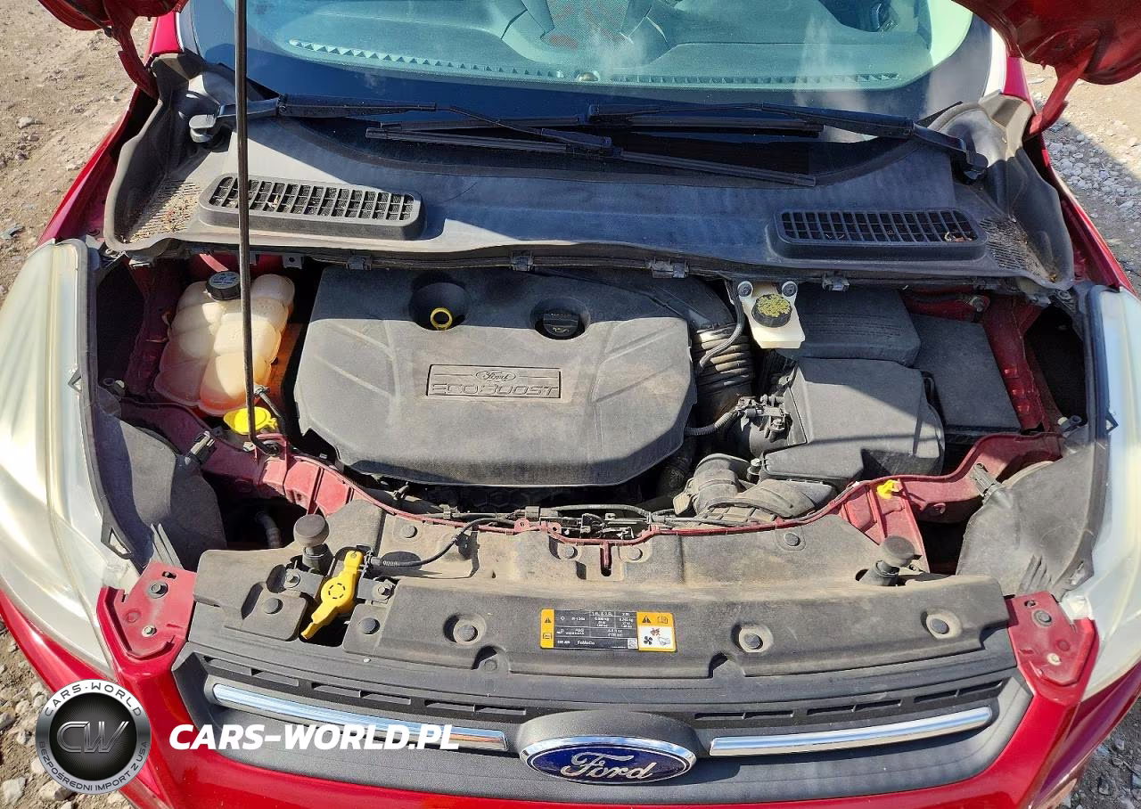 2013 Ford Escape Se VIN:1FMCU0G98DUD38102 - 11