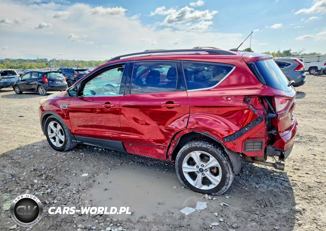 2013 Ford Escape Se VIN:1FMCU0G98DUD38102 - 2