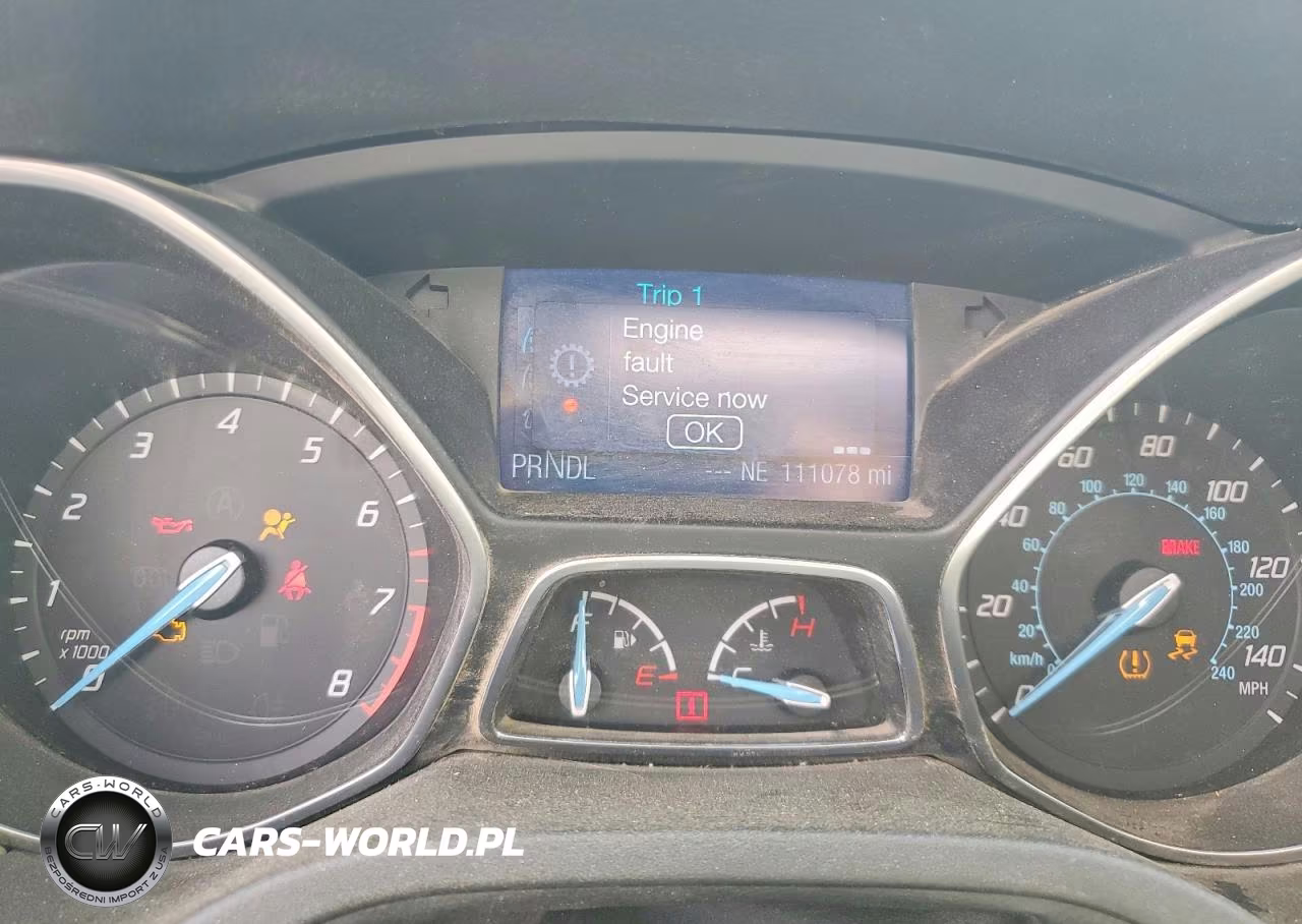2013 Ford Focus Se VIN:1FADP3K24DL301698 - 9
