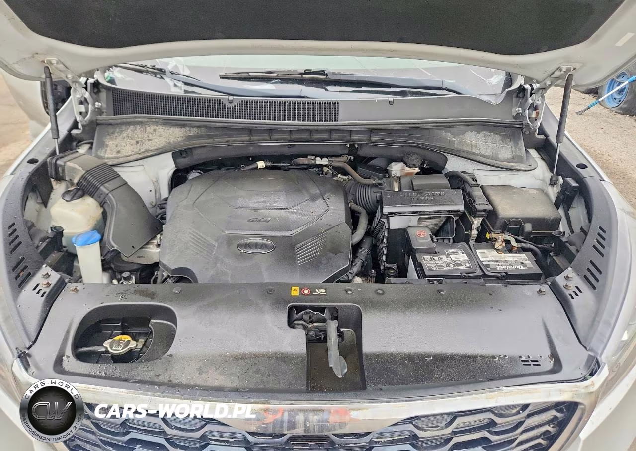 2019 Kia Sorento Lx V6 VIN:5XYPGDA58KG446891 - 12