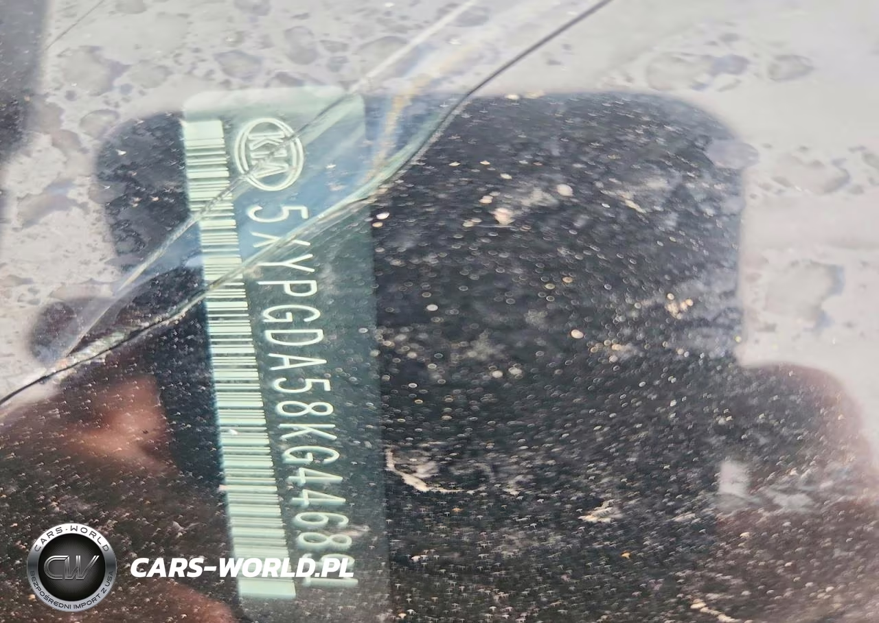 2019 Kia Sorento Lx V6 VIN:5XYPGDA58KG446891 - 13