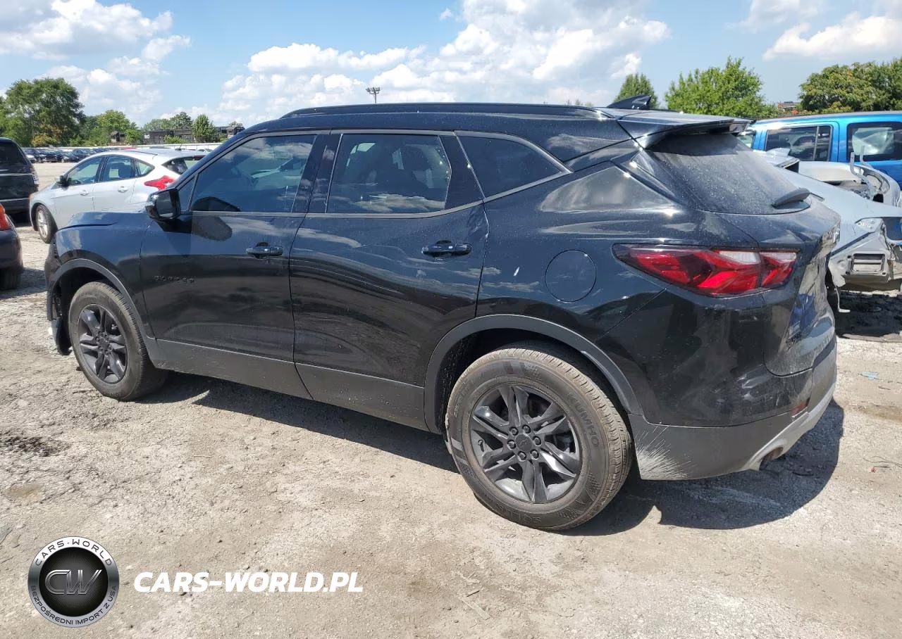 2019 CHEVROLET BLAZER 2LT VIN:3GNKBCRS0KS700094 - 2