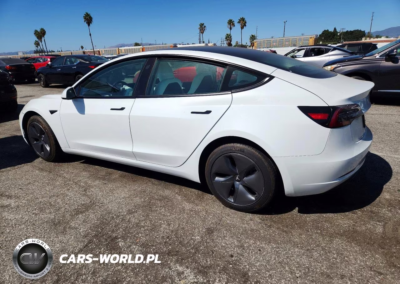 2023 Tesla Model 3 VIN:5YJ3E1EA7PF507642 - 2