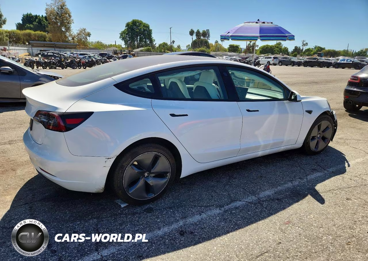 2023 Tesla Model 3 VIN:5YJ3E1EA7PF507642 - 3