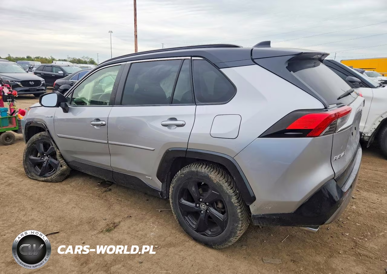 2019 Toyota Rav4 Xse VIN:JTMEWRFV3KJ021272 - 2