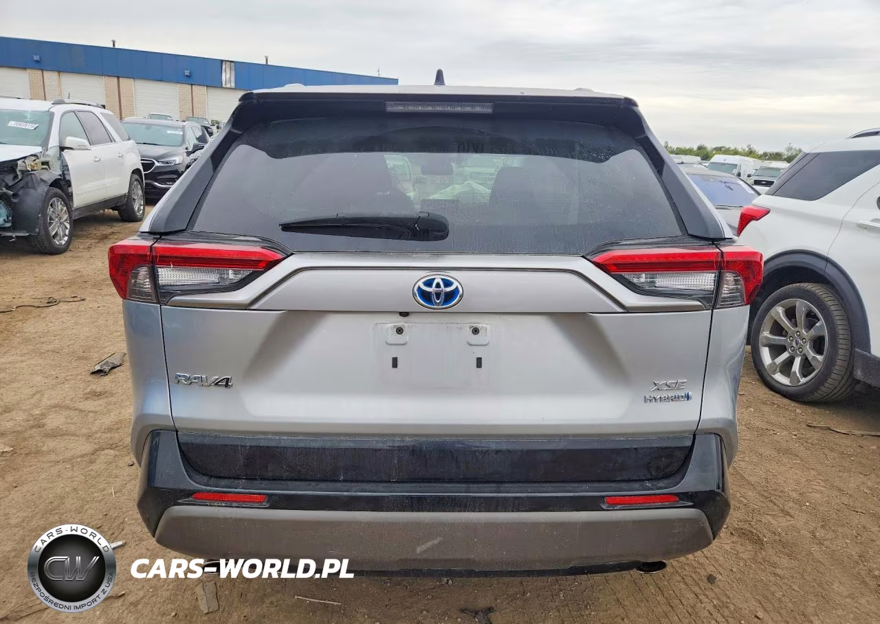 2019 Toyota Rav4 Xse VIN:JTMEWRFV3KJ021272 - 6