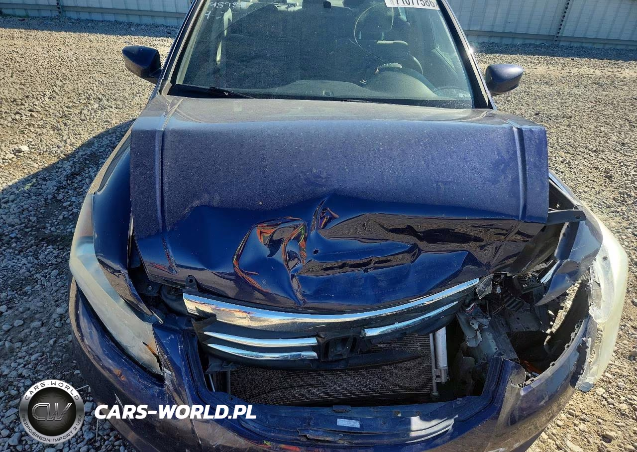 2011 Honda Accord Lxp VIN:1HGCP2F41BA117261 - 11