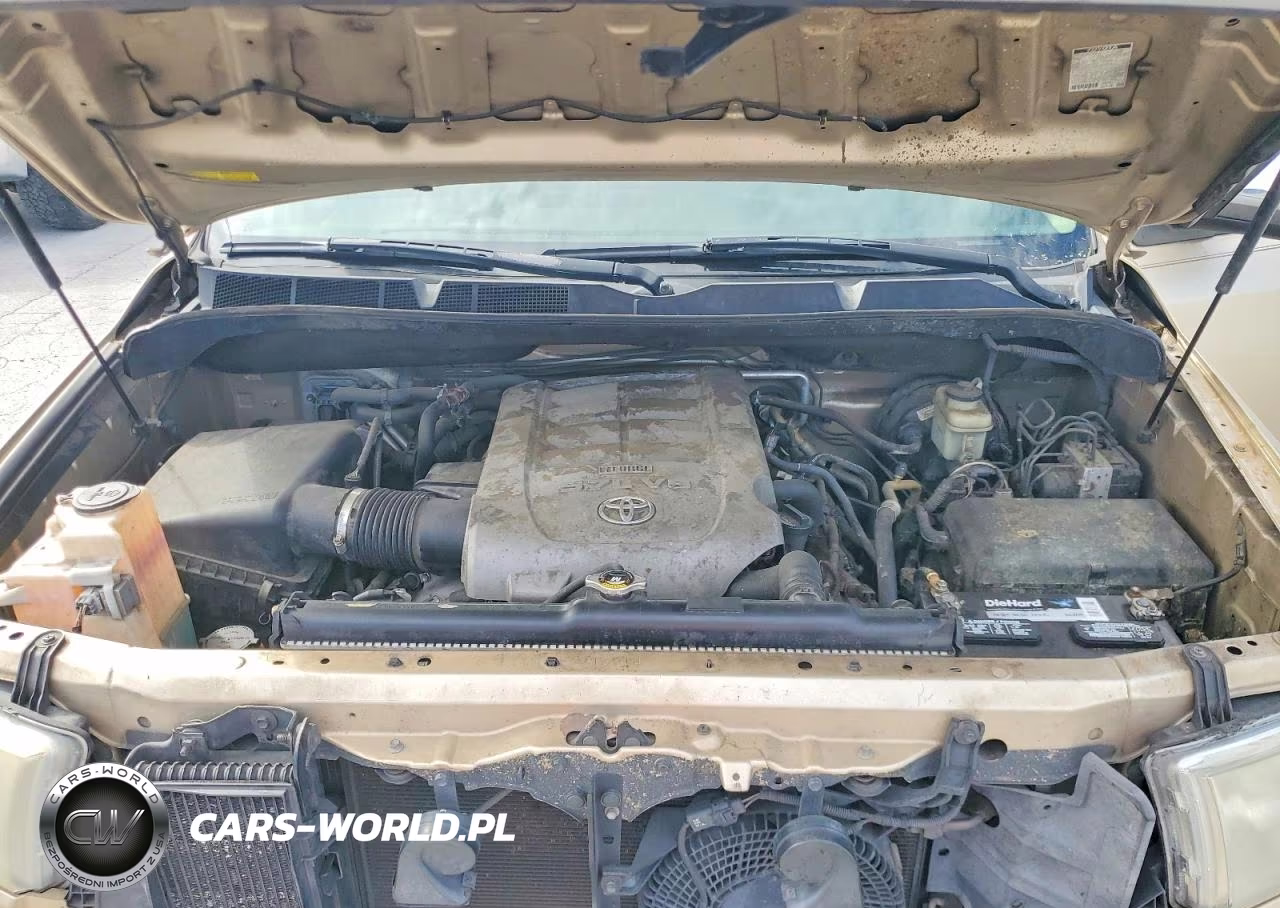 2010 Toyota Sequoia Limited VIN:5TDKY5G14AS024345 - 12