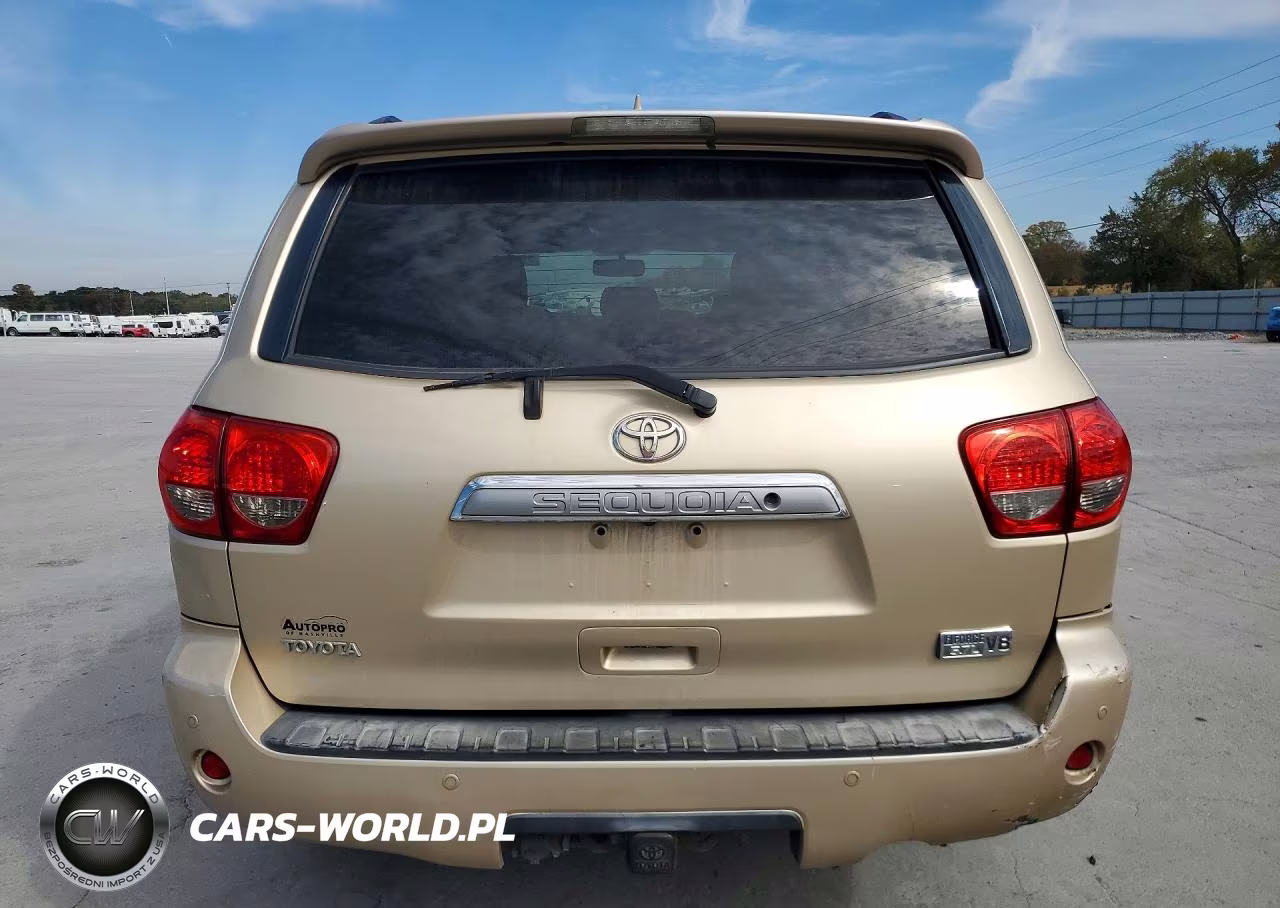 2010 Toyota Sequoia Limited VIN:5TDKY5G14AS024345 - 6