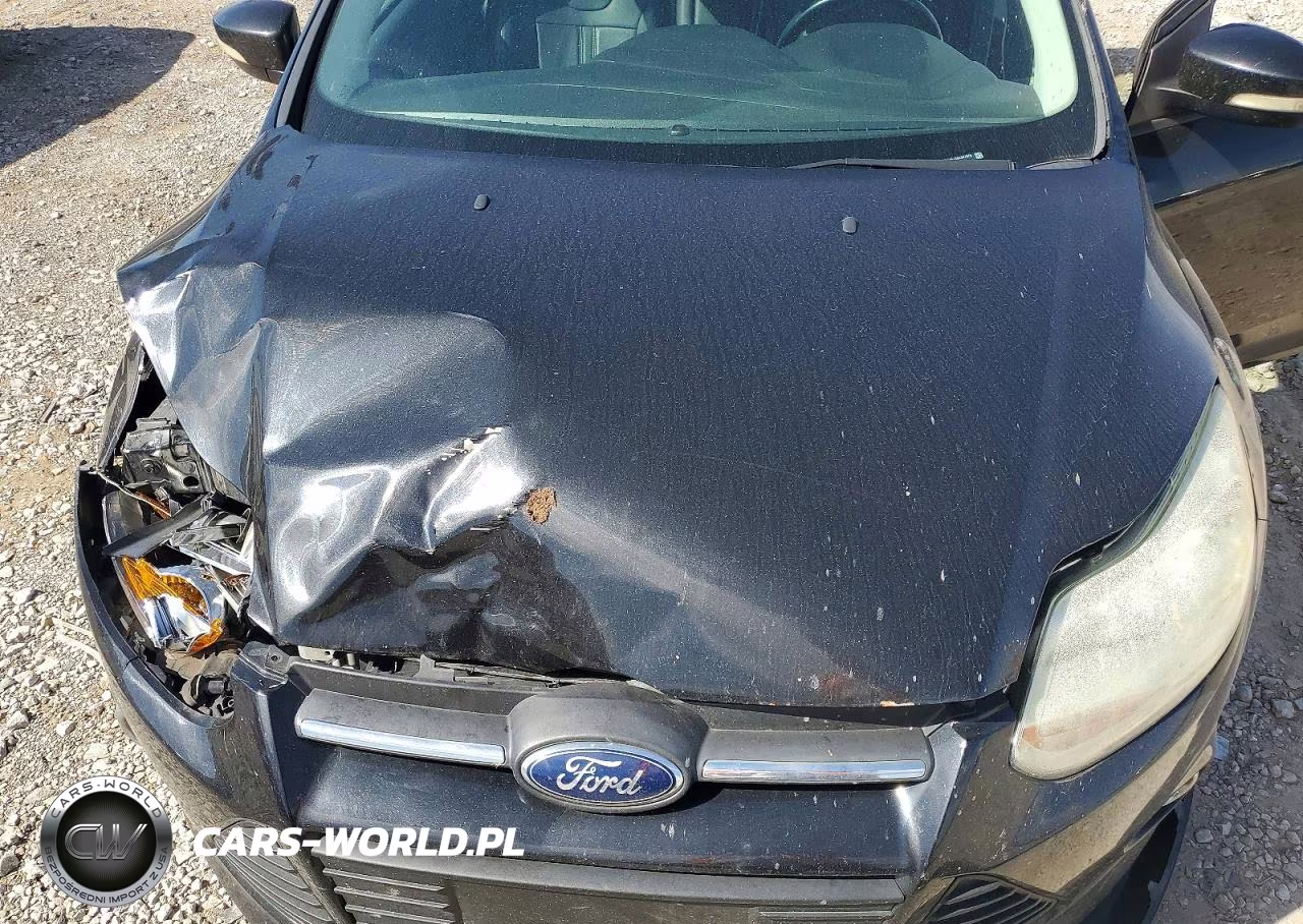 2014 Ford Focus Se VIN:1FADP3K2XEL347876 - 7