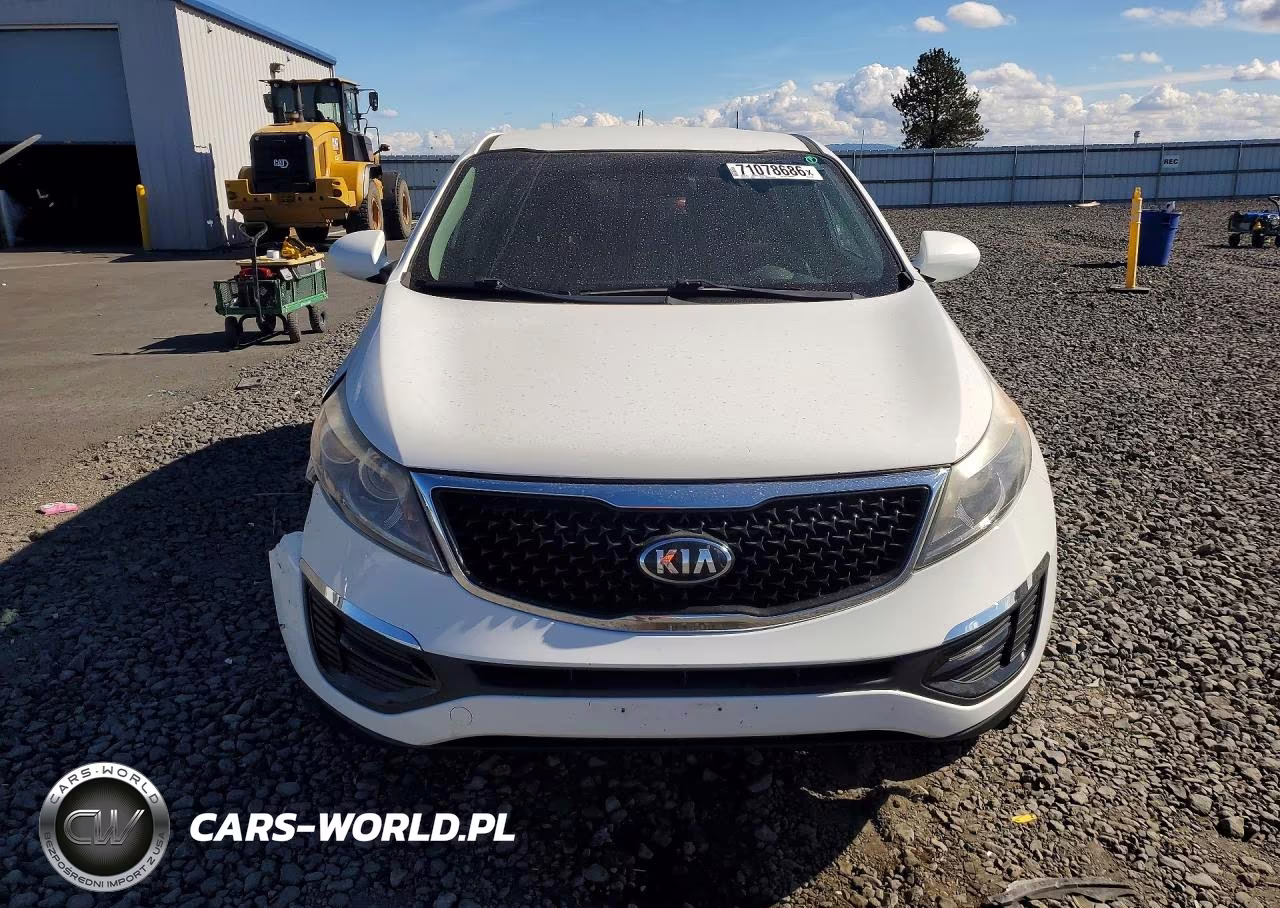 2016 Kia Sportage Lx VIN:KNDPB3AC5G7856897 - 5