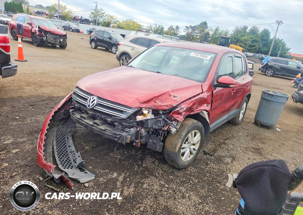 2013 Volkswagen Tiguan S VIN:WVGBV3AX8DW070450 - 1