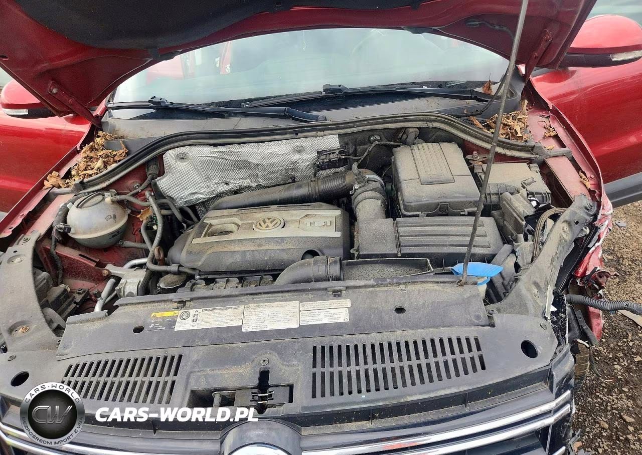 2013 Volkswagen Tiguan S VIN:WVGBV3AX8DW070450 - 11