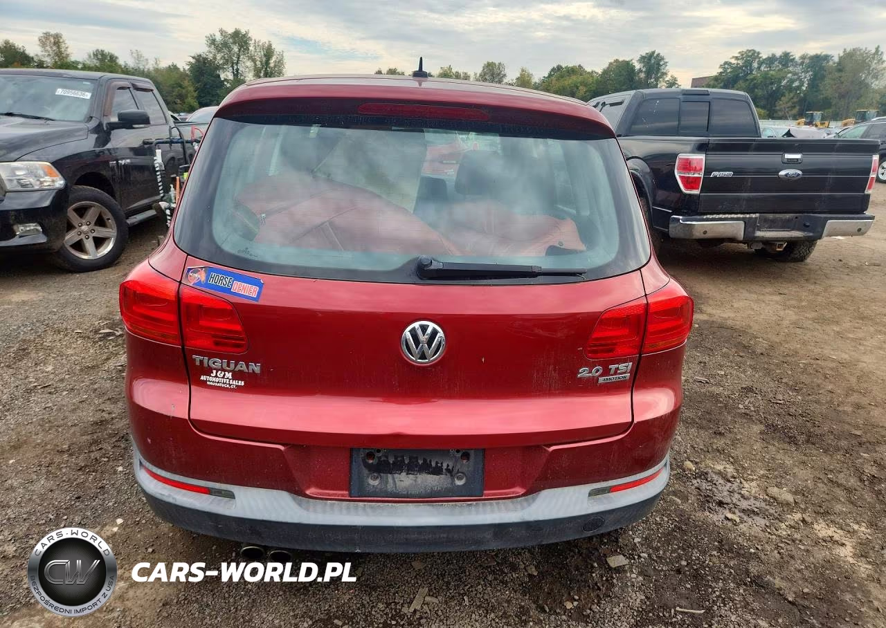 2013 Volkswagen Tiguan S VIN:WVGBV3AX8DW070450 - 6