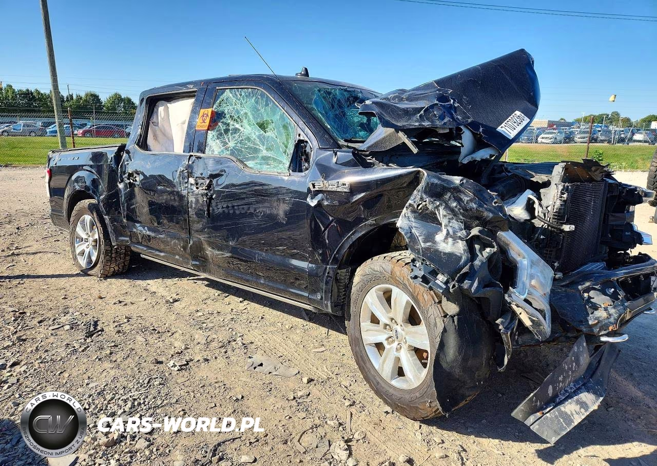 2019 Ford F-150 Platinum VIN:1FTEW1E4XKFD28418 - 4