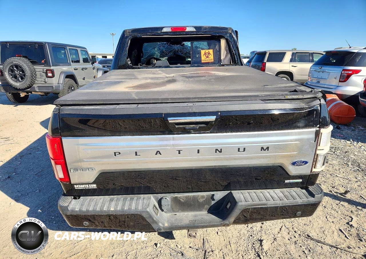 2019 Ford F-150 Platinum VIN:1FTEW1E4XKFD28418 - 6