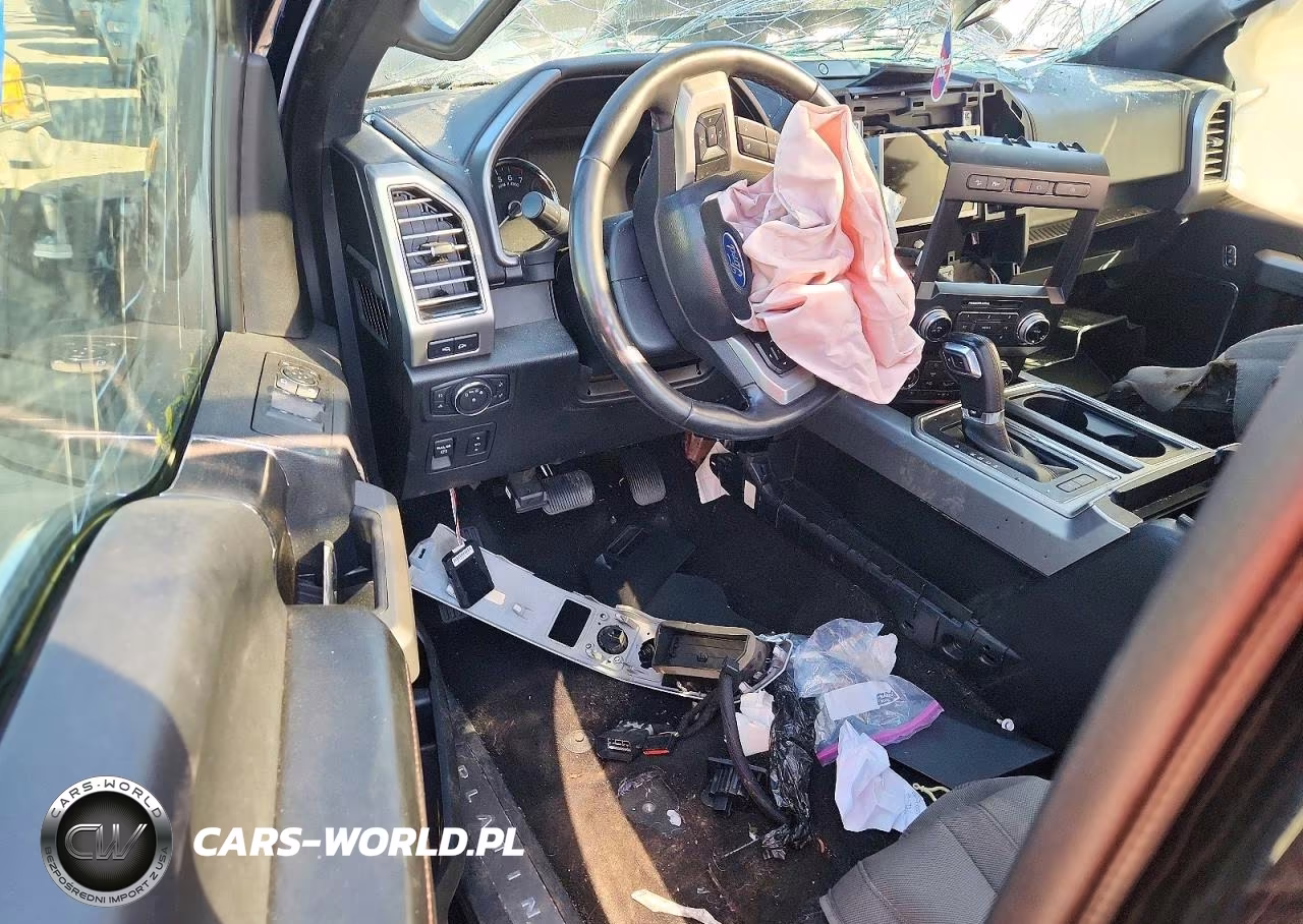 2019 Ford F-150 Platinum VIN:1FTEW1E4XKFD28418 - 8