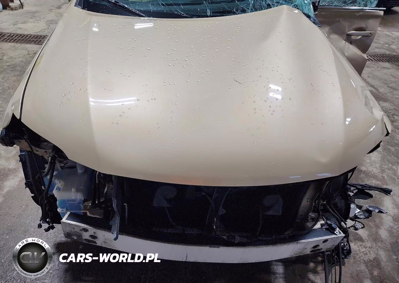 2010 Lexus Rx 350 VIN:2T2BK1BA4AC019152 - 12