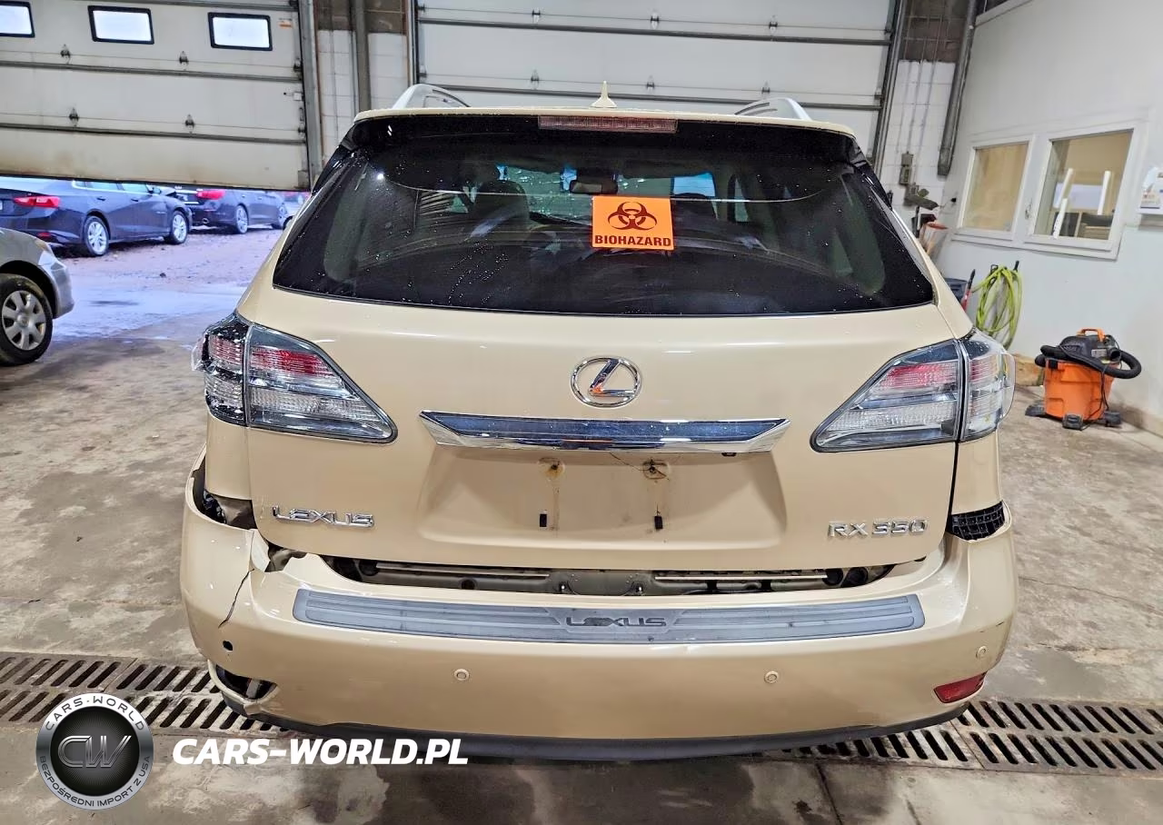 2010 Lexus Rx 350 VIN:2T2BK1BA4AC019152 - 6