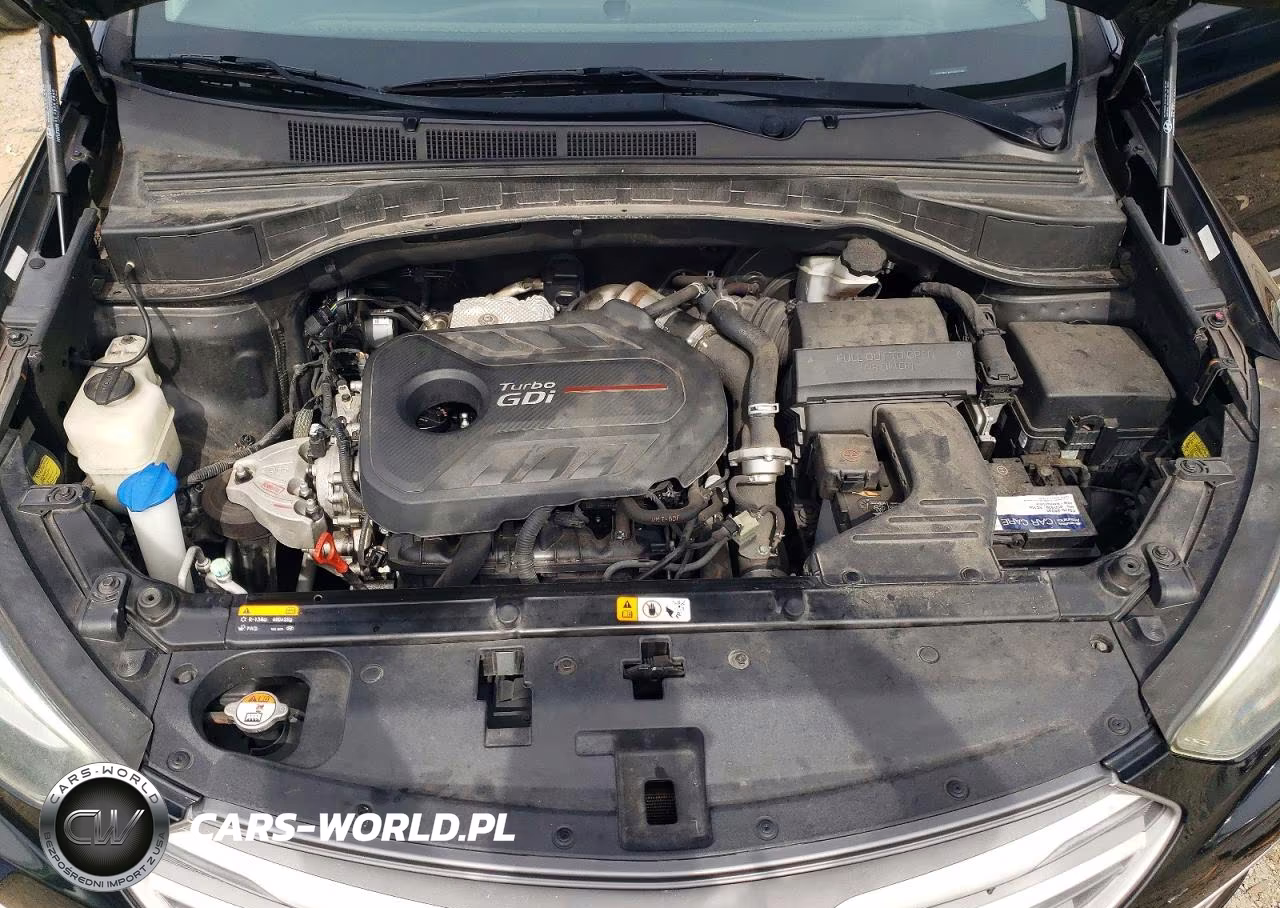 2017 Hyundai Santa Fe Ultimate 2.0T VIN:5XYZW4LA6HG472260 - 12