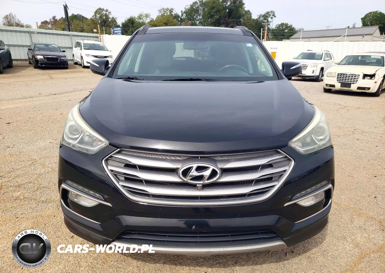 2017 Hyundai Santa Fe Ultimate 2.0T VIN:5XYZW4LA6HG472260 - 5