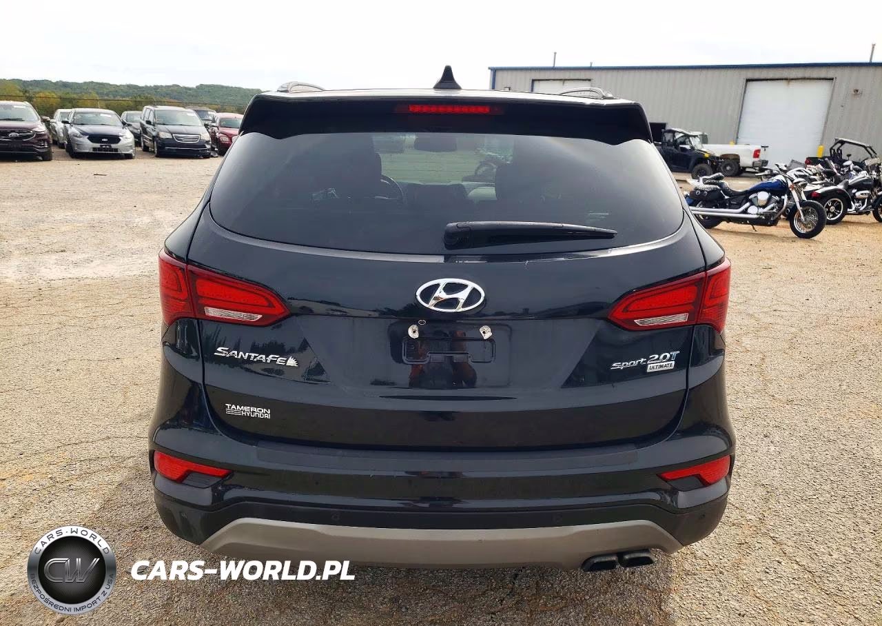 2017 Hyundai Santa Fe Ultimate 2.0T VIN:5XYZW4LA6HG472260 - 6